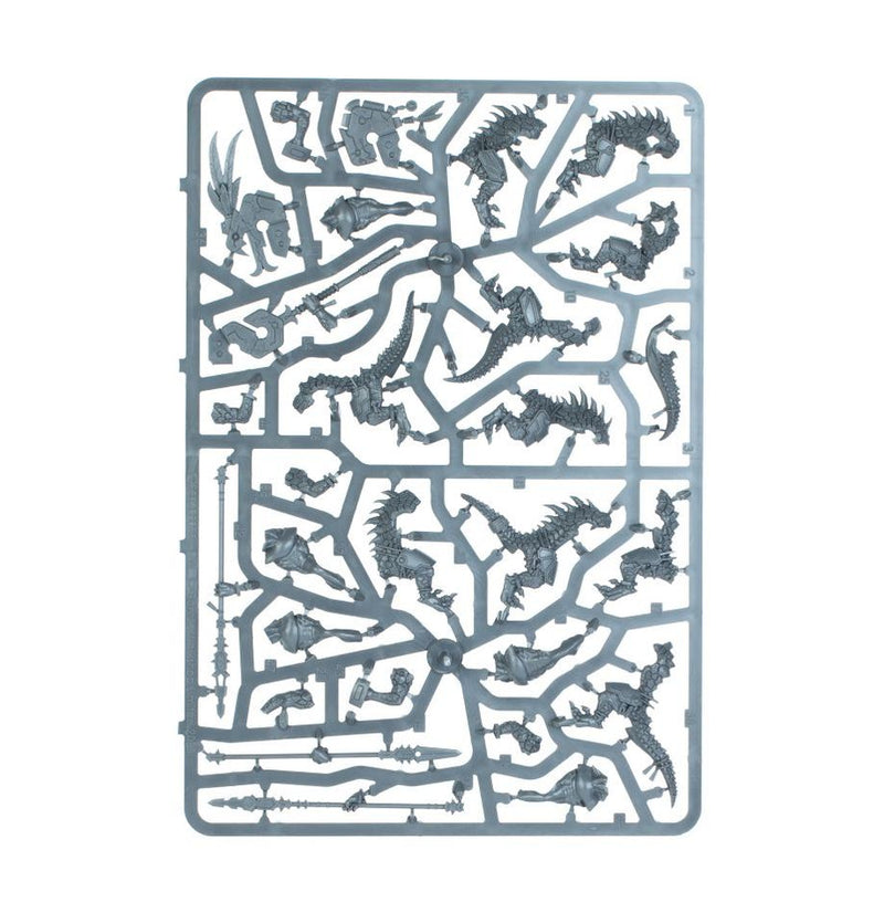 Warhammer Age of Sigmar Spearhead: Seraphon