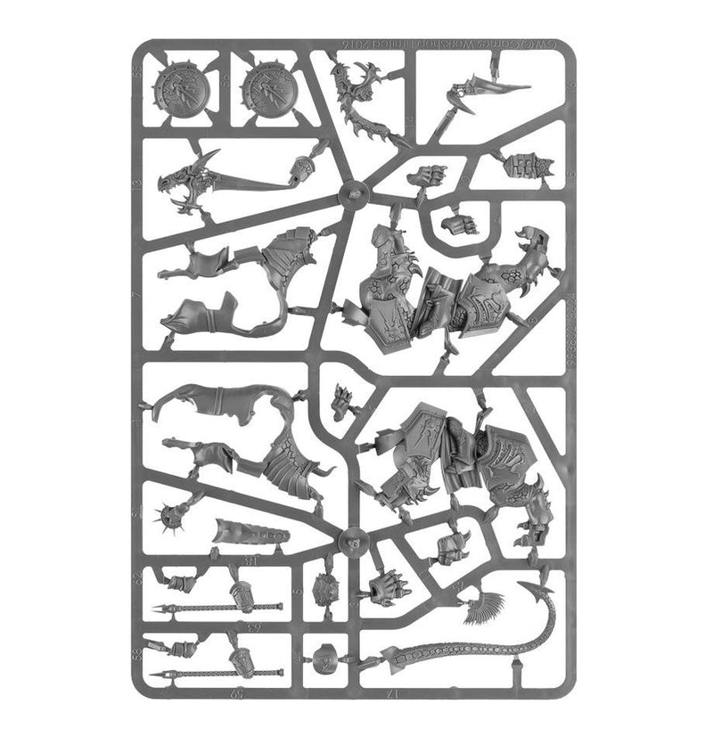 Warhammer Age of Sigmar Stormcast Eternals: Dracothion Guard