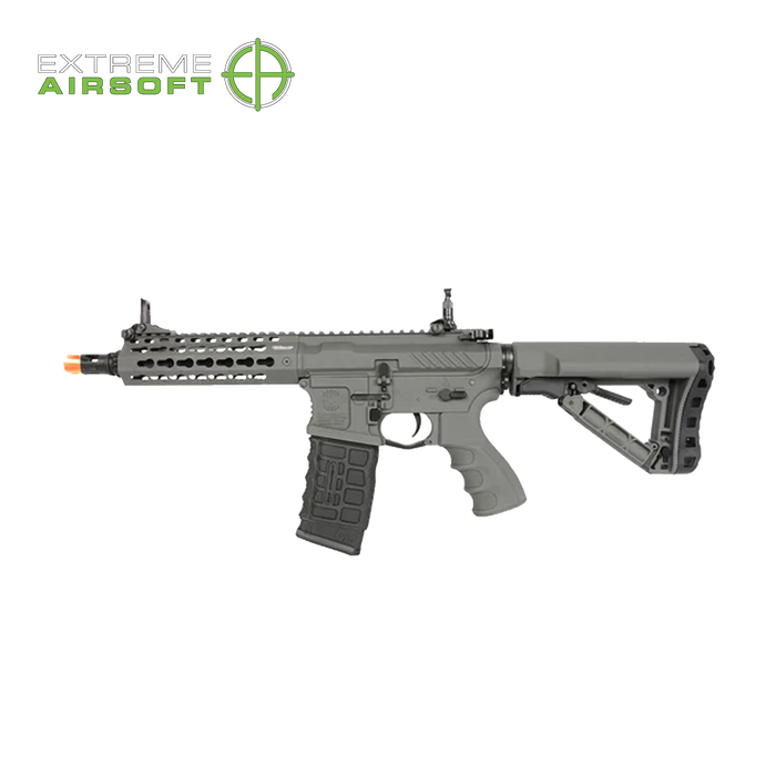 G&G CM16 SRS