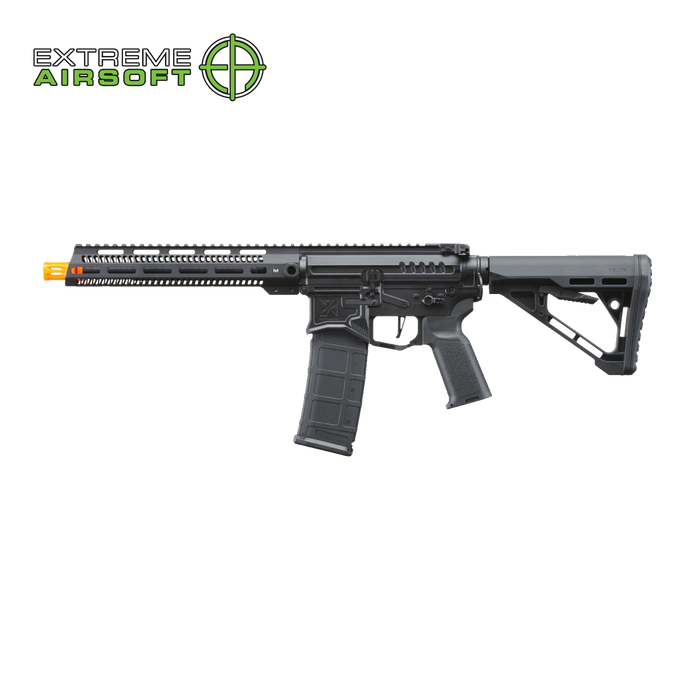 Zion Arms R15 Mod 0 Long Rail Airsoft Rifle with Delta Stock